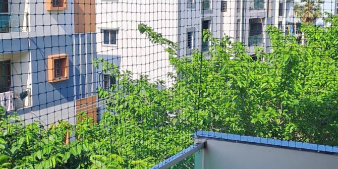 Pigeon Safety Nets for Balconies in Bangalore